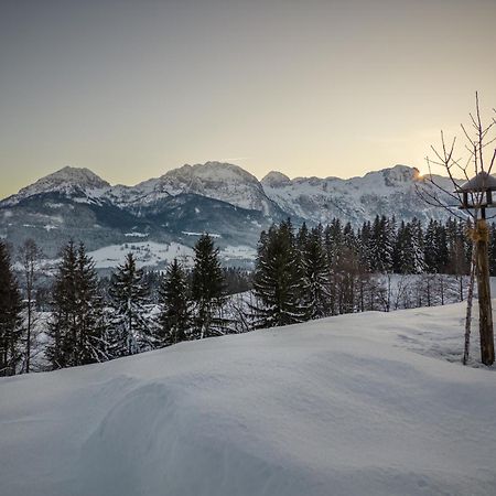 Apartmán Radochsbergloft Abtenau Exteriér fotografie